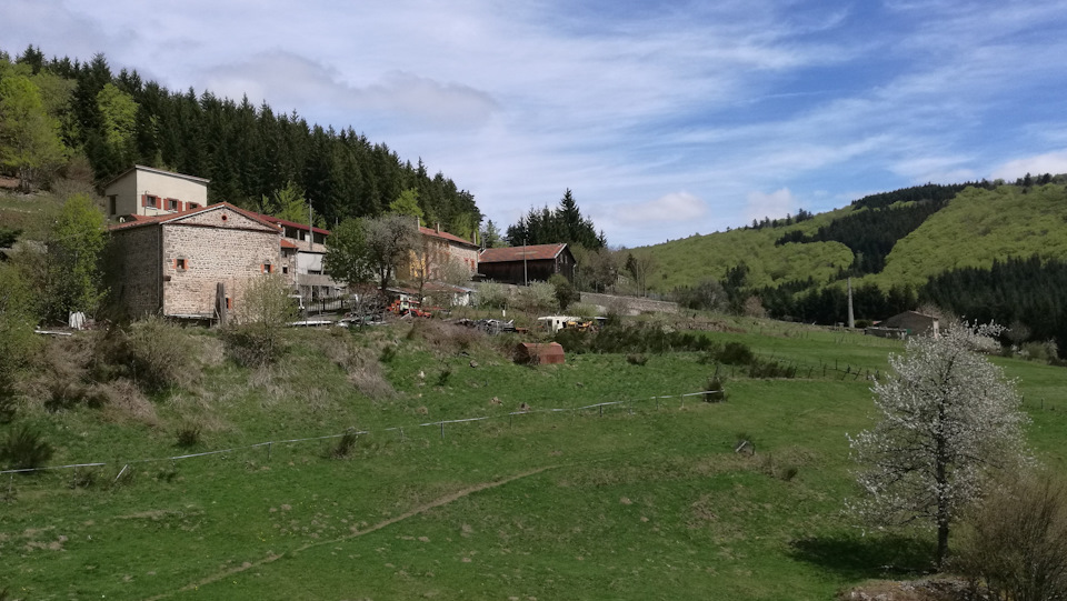 Все-таки на телефон снимки получаются не очень, но что поделать. — Audi A4 (B9)