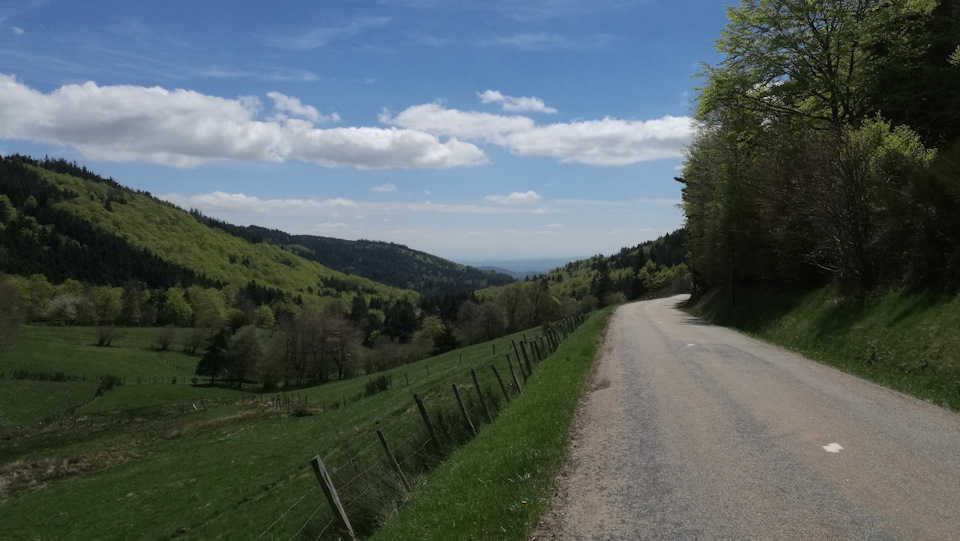 Где-то недалеко отсюда меня обогнал как стоячего спортмен на шоссейном велике. Спросил, а не «Са ва» ли? И я такой, еле переводя дух: «Са ва, са ва, не издевайся» :) — Audi A4 (B9)