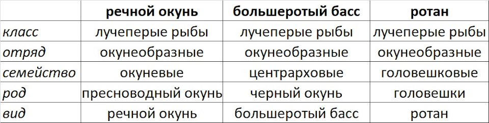 рыба bass по русски. Смотреть фото рыба bass по русски. Смотреть картинку рыба bass по русски. Картинка про рыба bass по русски. Фото рыба bass по русски рыба bass по русски. Смотреть фото рыба bass по русски. Смотреть картинку рыба bass по русски. Картинка про рыба bass по русски. Фото рыба bass по русски