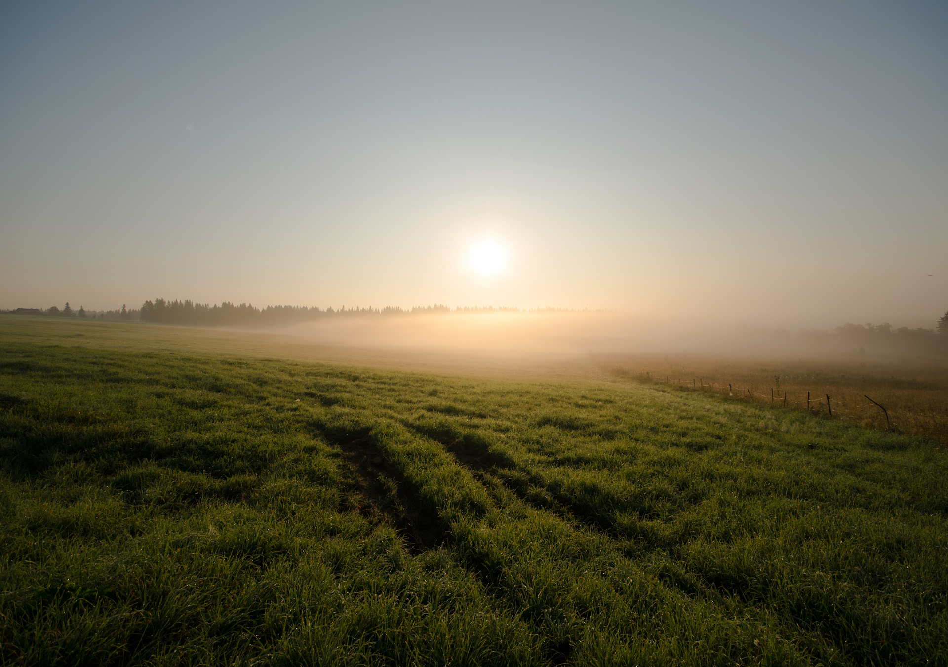 Чашка кофе. Привычка плакать по ночам. Утро пока. Доброго утра стильно среда. Велосипед на природе.