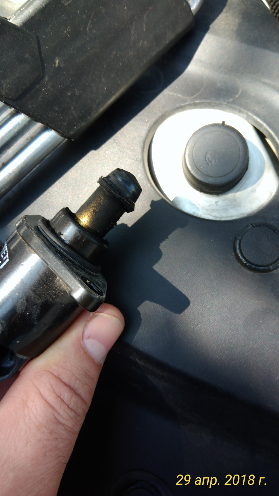 Photo from the logbook Nissan Almera V (G11/15)