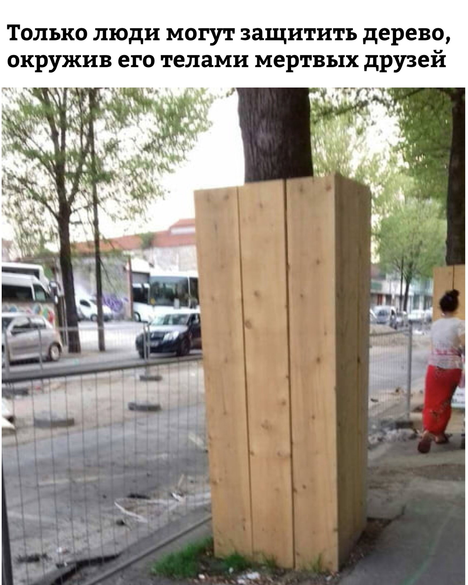 А вы на такое способны. А вы на такое способны. Шутки про экзамены. Защитные щиты вокруг деревьев. С точки зрения банальной эрудиции каждый.