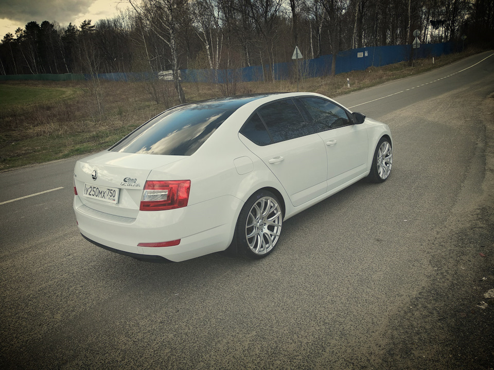 евро подвеска octavia a7