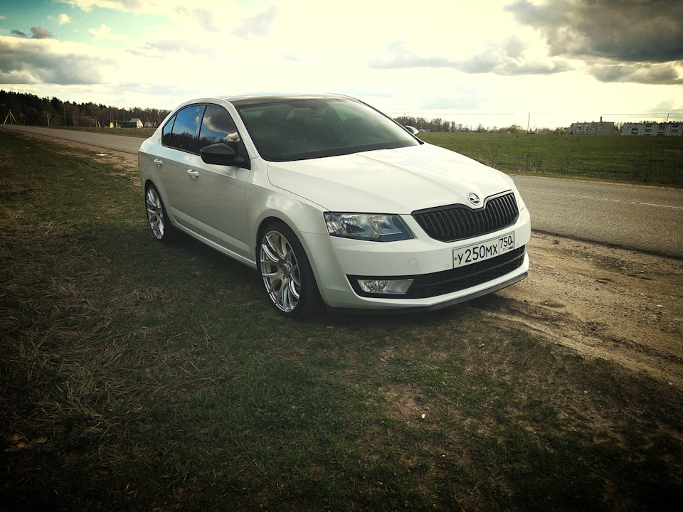 Skoda Octavia a7 зима