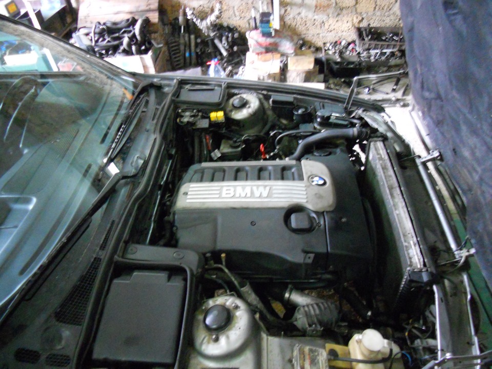 похолодала не заводиться bmw m51 похолодала не заводиться bmw m51