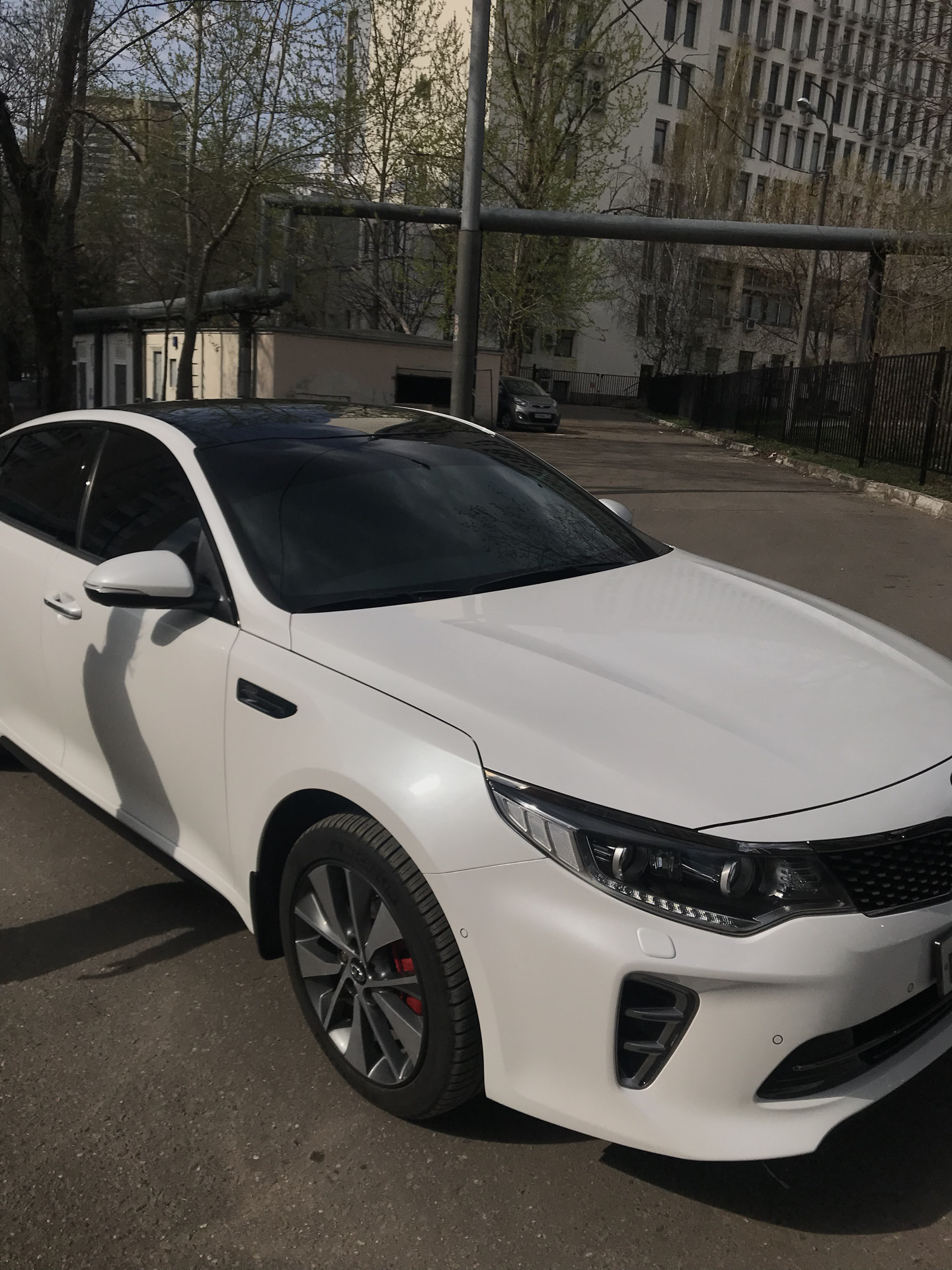 Т линия оптима. Т линия оптима. Т линия оптима. Т линия оптима. Оптима и гранд.