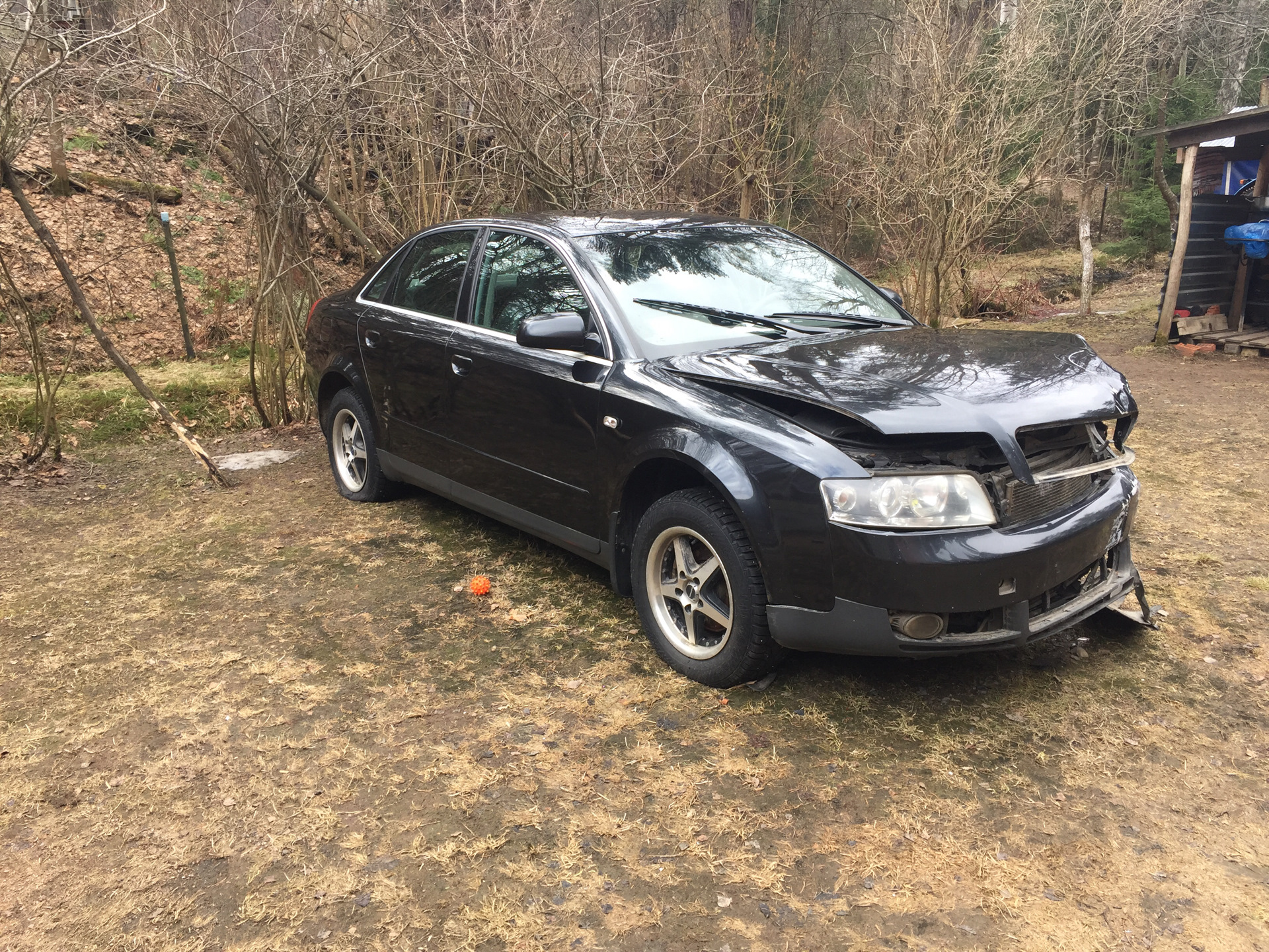 Блин она даже разбитая офигенно смотрится — Audi A4 (B6), 1,6 л, 2003 года  | ДТП | DRIVE2