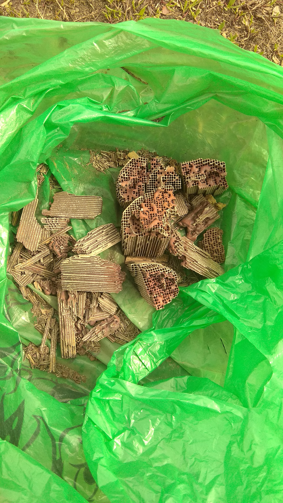 Перегрев катализатора — Honda Domani (MA), 1,6 л., 1992 года | своими ...