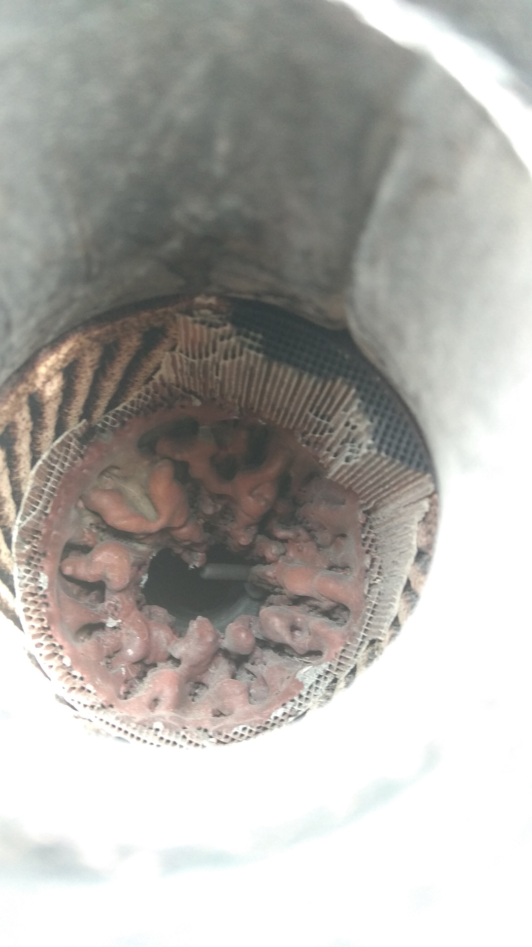 Перегрев катализатора — Honda Domani (MA), 1,6 л., 1992 года | своими ...