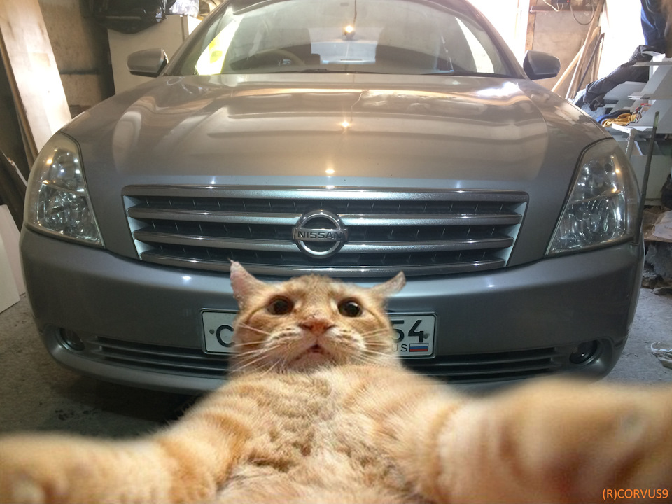 Фото в бортжурнале Nissan Teana (J31)