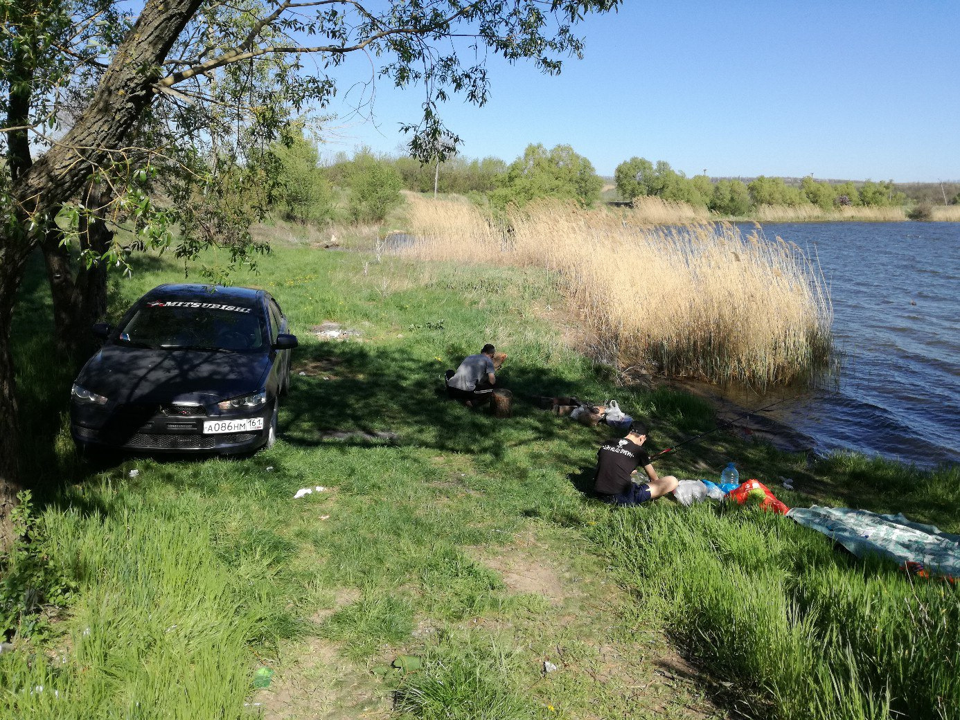 Дарьевские пруды под таганрогом. Дарьевский пруд Таганрог. Дарьевский пруд Таганрог база отдыха. Курлацкий пруд Таганрог. Дарьевский пруд Ростовская область.