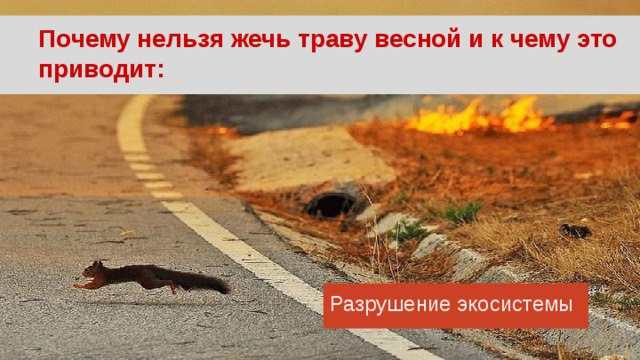 Картинки не жги траву картинки