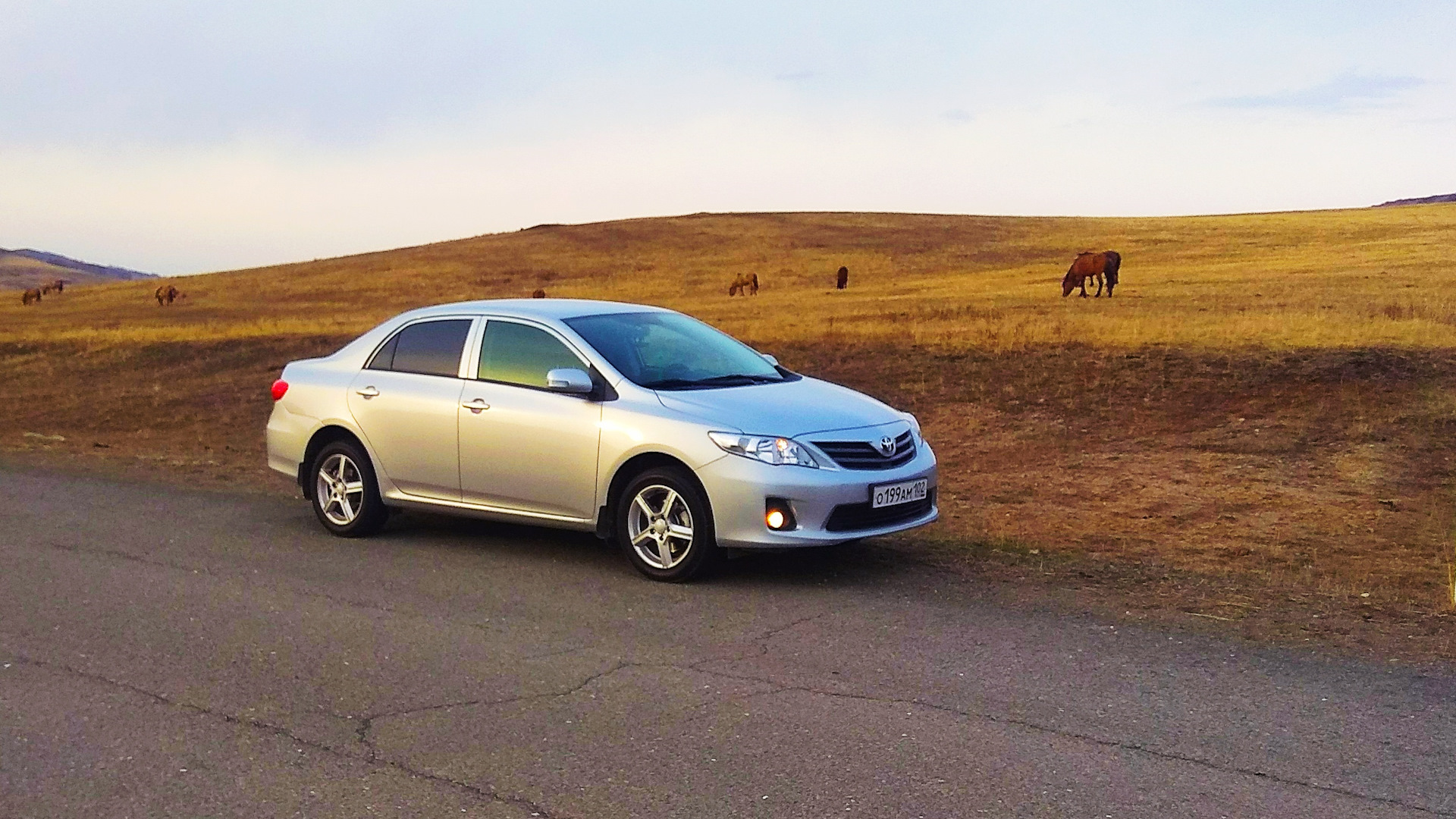 Длинный привод премио 260. Тойота королла toyota corolla. Моя машина тойота. Моя машина тойота. Toyota corolla 2015.