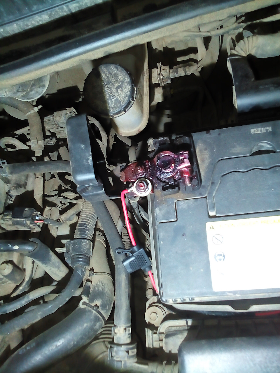 Фото в бортжурнале Hyundai Solaris Hatchback