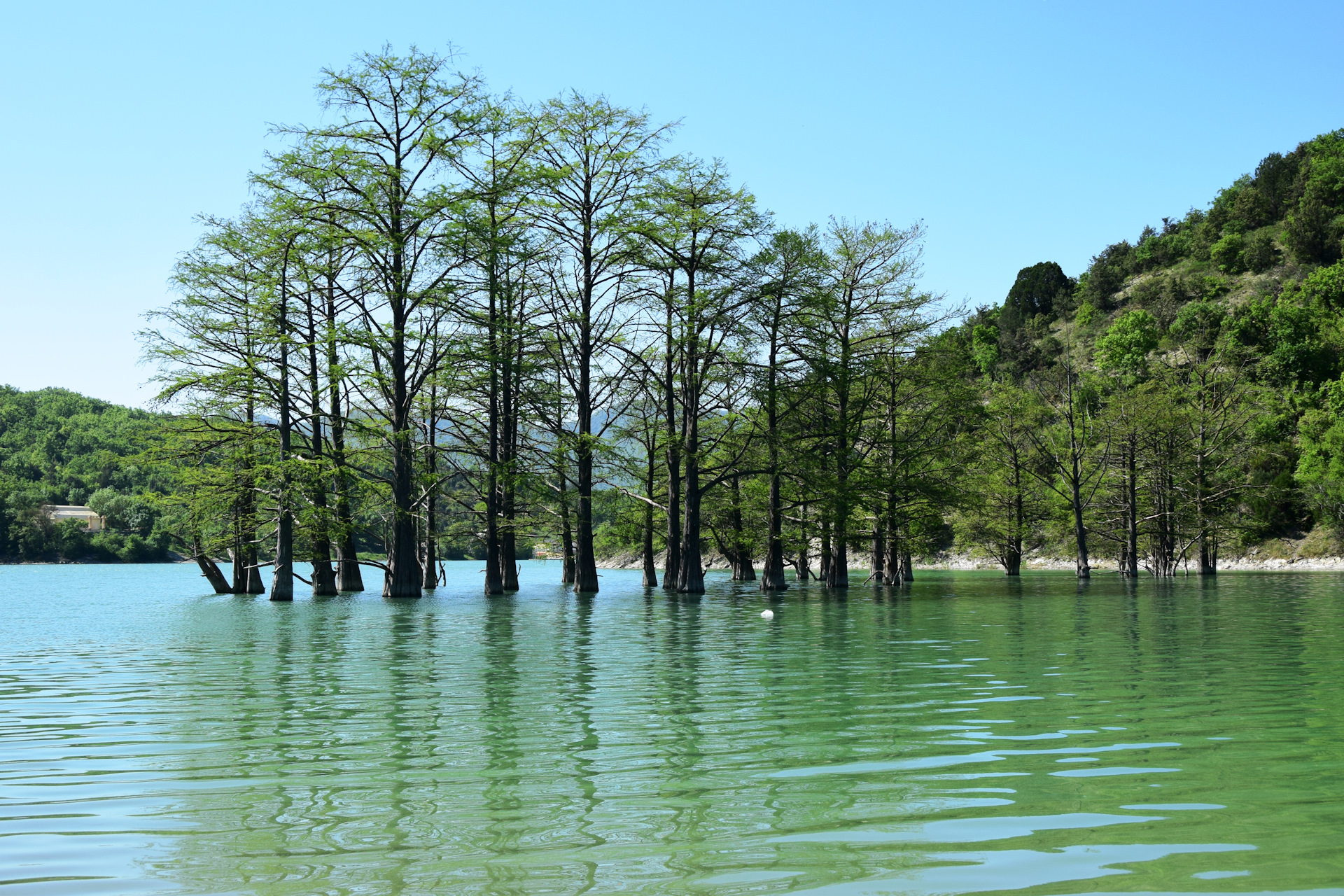 Озеро Сукко 2021