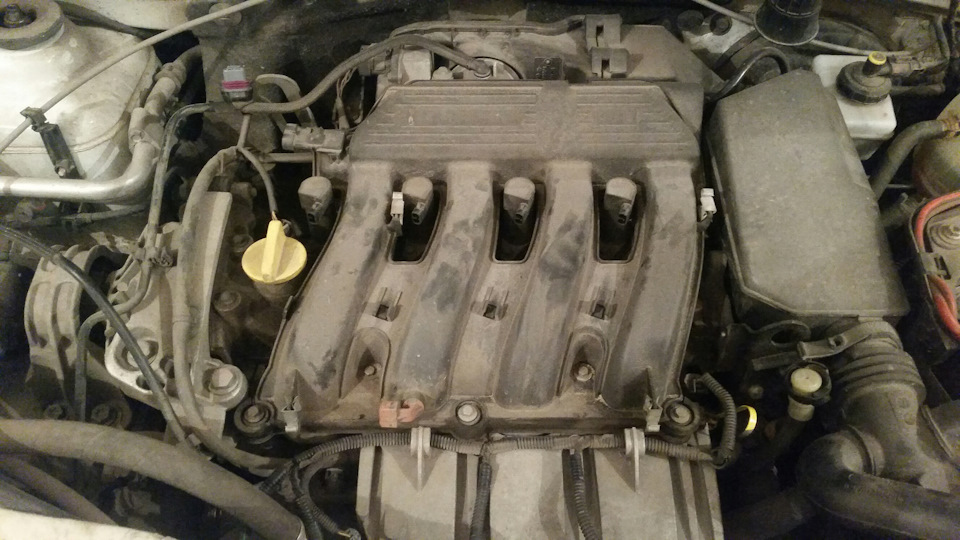 Масло на клапанной крышке. — Renault Duster (1G), 2 л, 2013 года ...