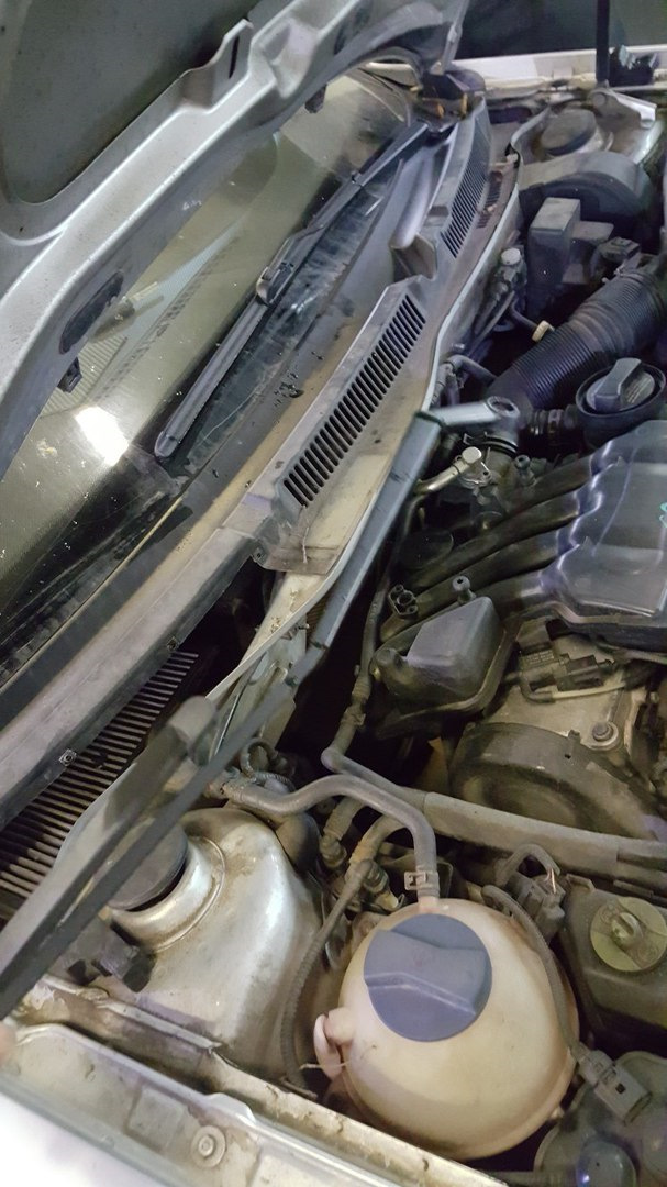 Фото в бортжурнале Volkswagen Bora