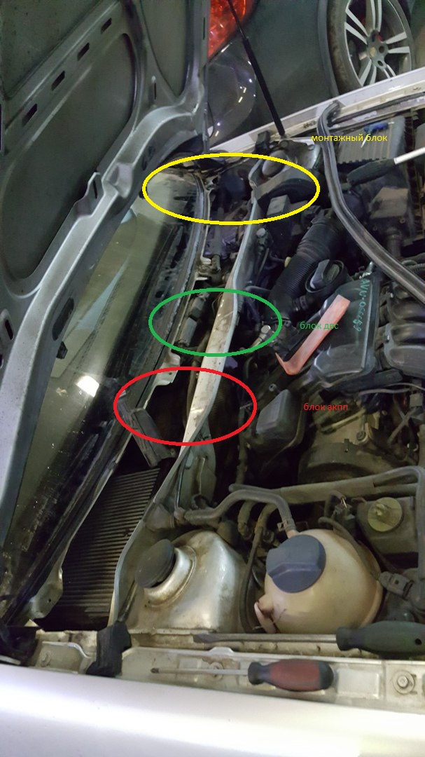 Фото в бортжурнале Volkswagen Bora