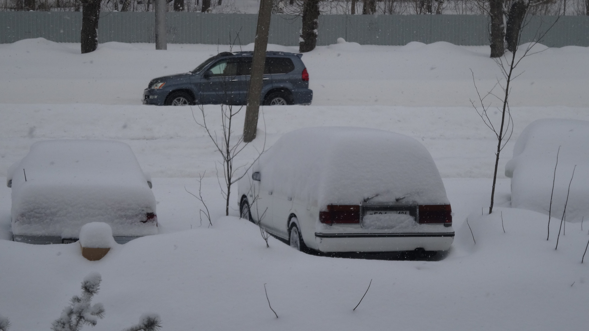 Новосиб, с первым днем весны, епта! Две ночи с открытым окном. — Toyota  Crown Wagon (S130), 2 л, 1991 года | фотография | DRIVE2