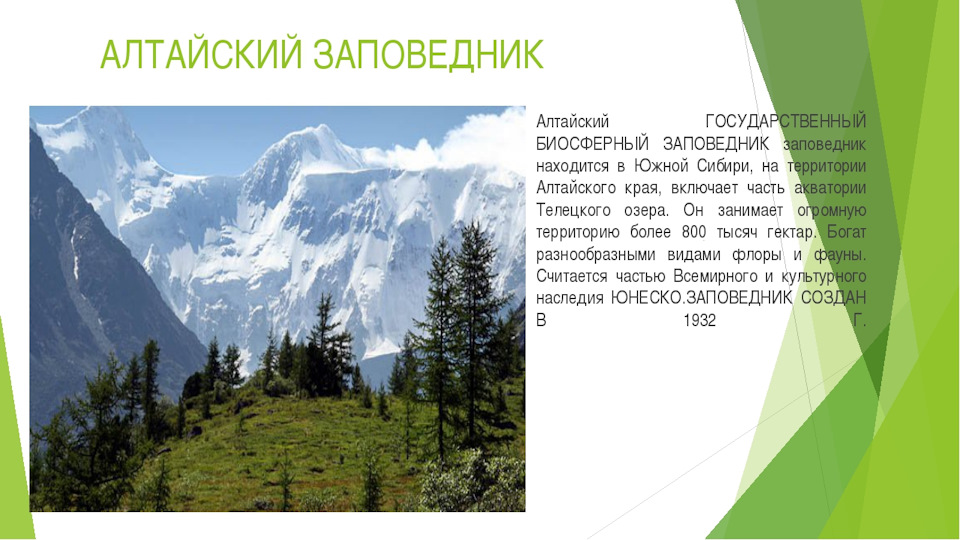 алтайский заповедник история создания. Смотреть фото алтайский заповедник история создания. Смотреть картинку алтайский заповедник история создания. Картинка про алтайский заповедник история создания. Фото алтайский заповедник история создания