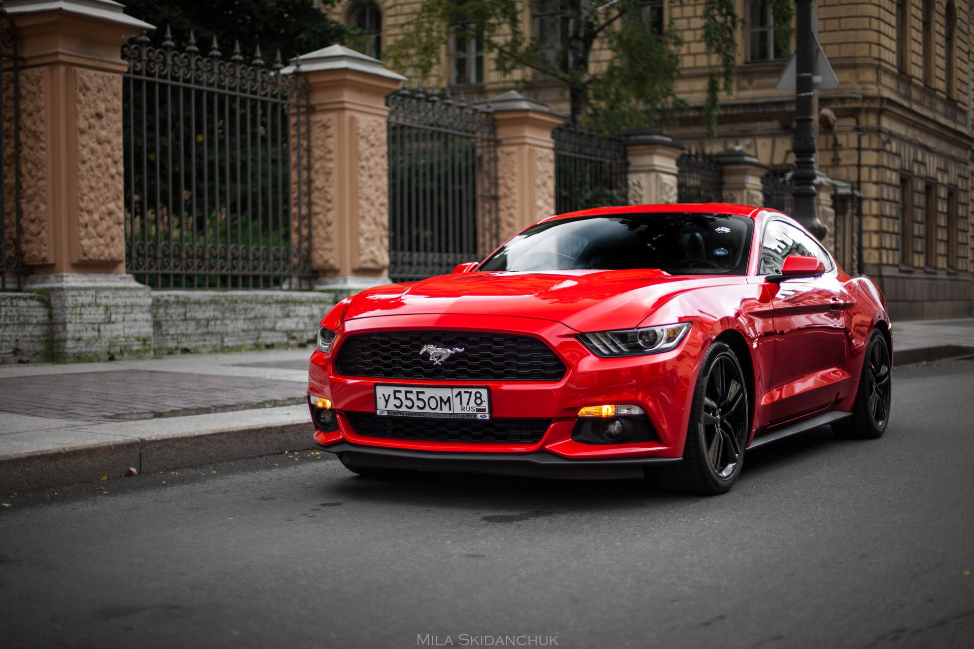 Ford Mustang 555