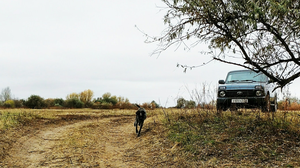 Прошивка от Паулюса… — Lada 4x4 3D, 1,7 л, 2015 года | тюнинг | DRIVE2