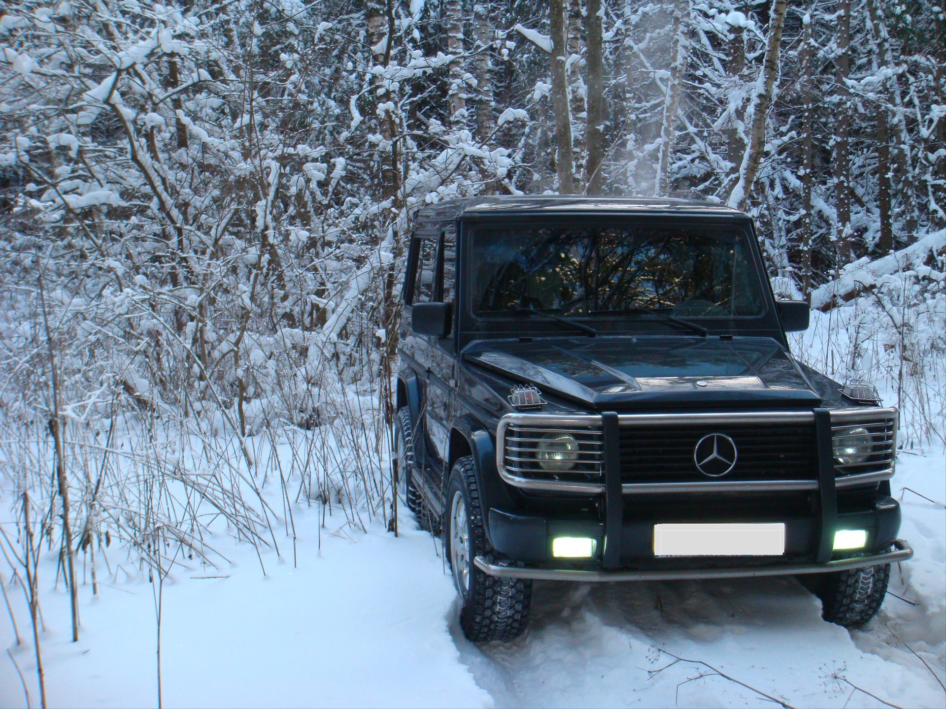 сНЕЖНАЯ фотосессия=) — Mercedes-Benz G-Class (W463), 3,2 л, 1996 года |  фотография | DRIVE2