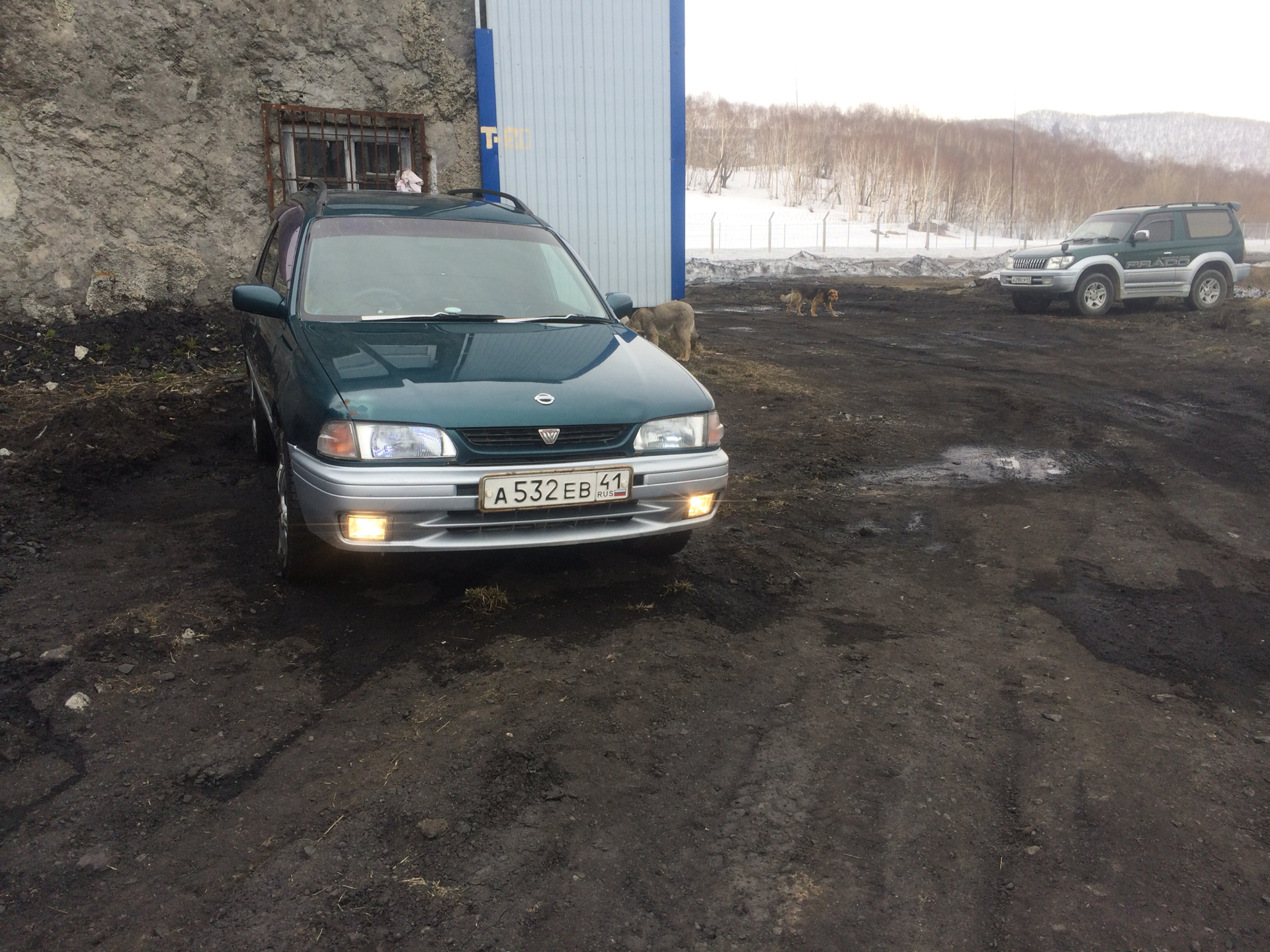 Туманки — Nissan Wingroad (Y10), 1,5 л, 1996 года | электроника | DRIVE2