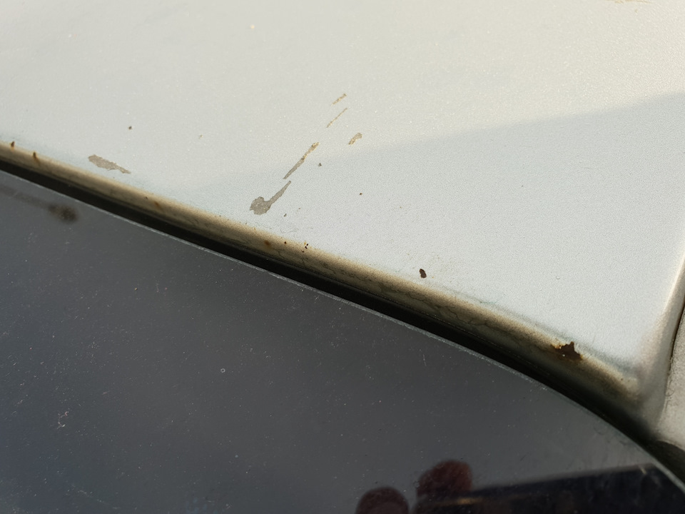 Ржавеет крыша — Nissan Pathfinder (3G), 4 л, 2006 года | кузовной ...