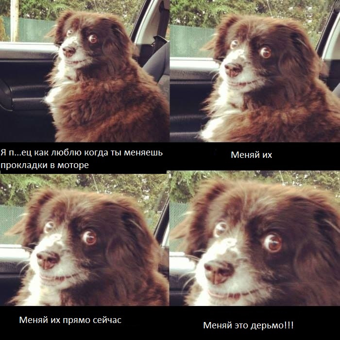 Фото в бортжурнале Nissan Teana (J31)