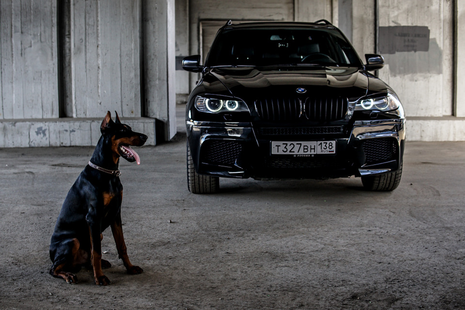 Девушка на BMW x5m Инстаграм