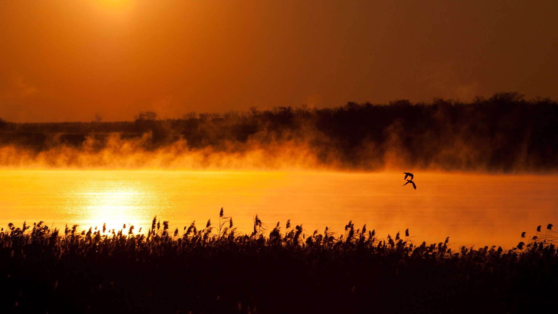 Зимнее утро. — Сообщество «Фотоальбом Драйва» на DRIVE2