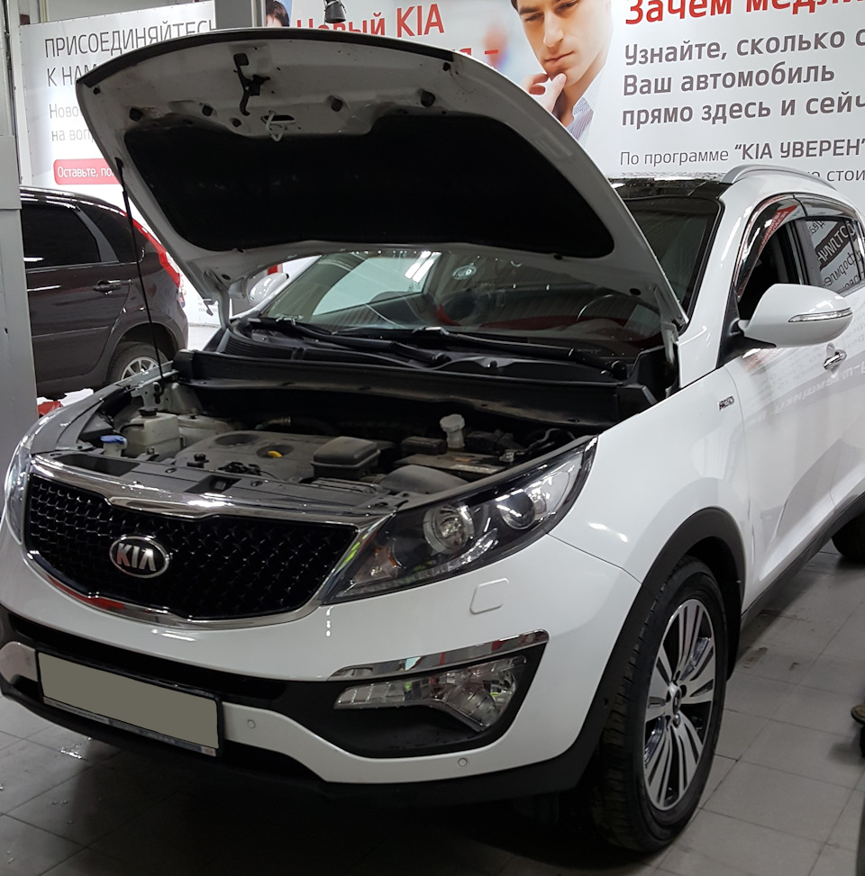 21. Прохождение ТО-3 с пробегом 34050 км на KIA Sportage 3 рестайлинг — KIA  Sportage (3G), 2 л, 2014 года | плановое ТО | DRIVE2