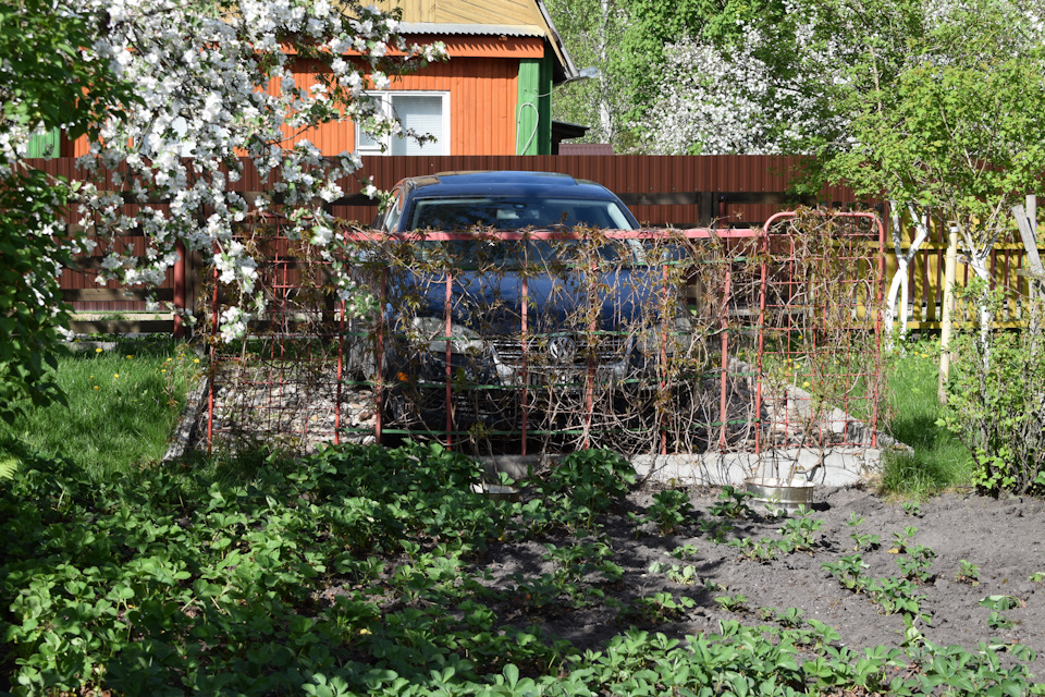 Дачные радости — Volkswagen Jetta V, 2,5 л, 2005 года | мойка | DRIVE2
