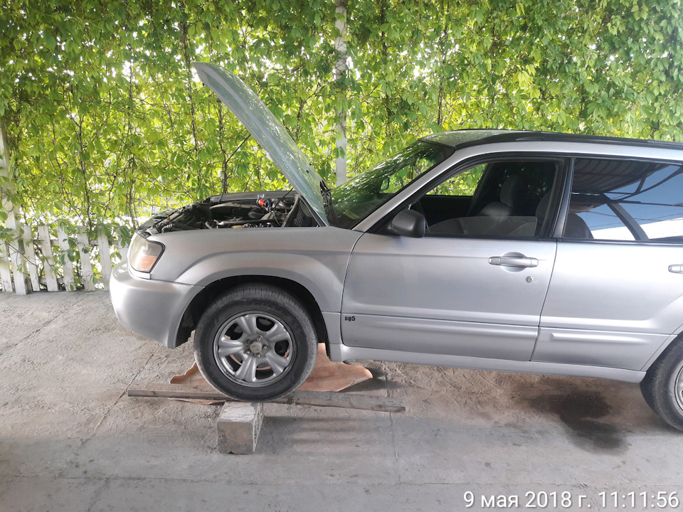 Фото в бортжурнале Subaru Forester (SG)