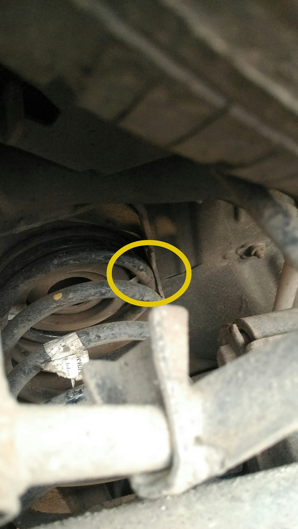 Фото в бортжурнале SsangYong Kyron