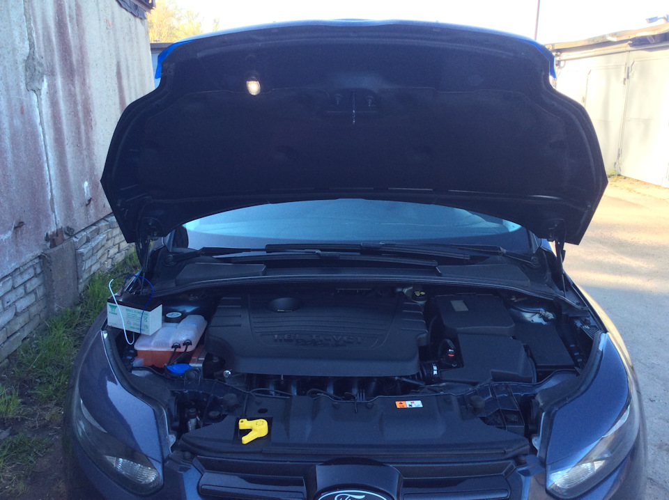 Завтра все подключу, либо по методу ТенБасса от концевика капота, либо по методу Наставника через выключатель ))) — Ford Focus Hatchback III
