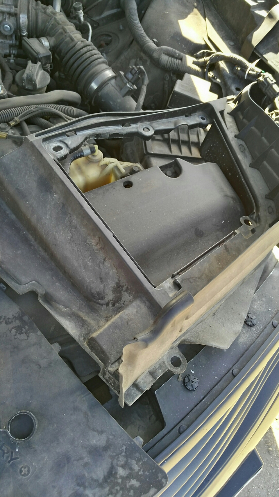 Фото в бортжурнале Infiniti EX