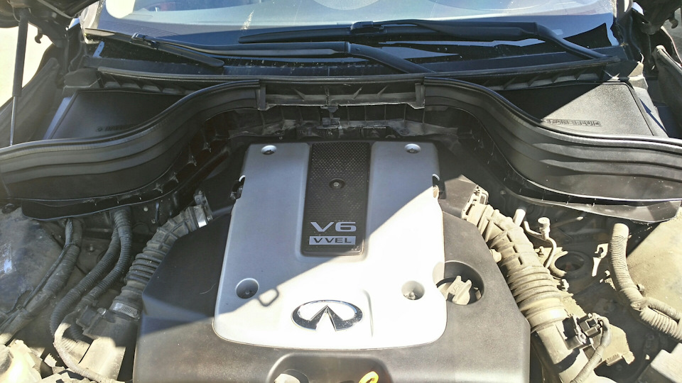 Фото в бортжурнале Infiniti EX