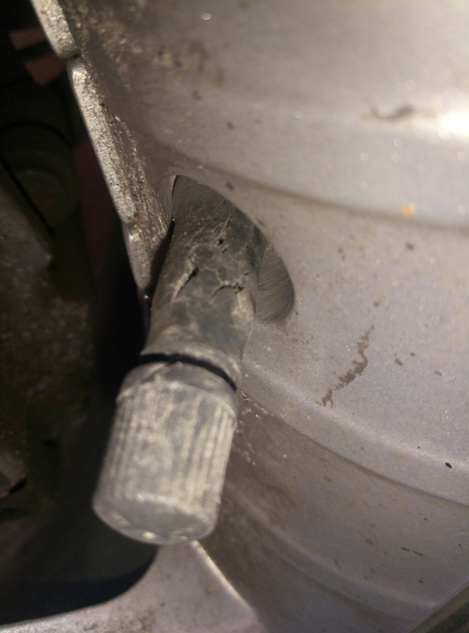 Замена соска (вентиля) диска — Volkswagen Touareg (1G), 3 л, 2007 года ...