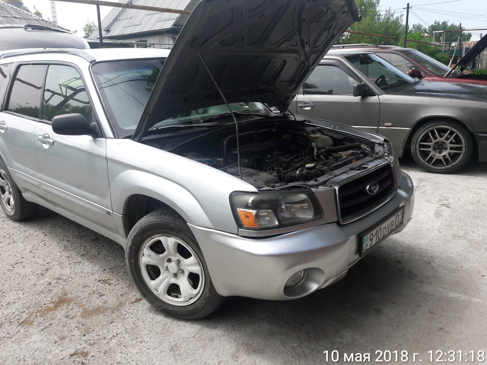 Фото в бортжурнале Subaru Forester (SG)