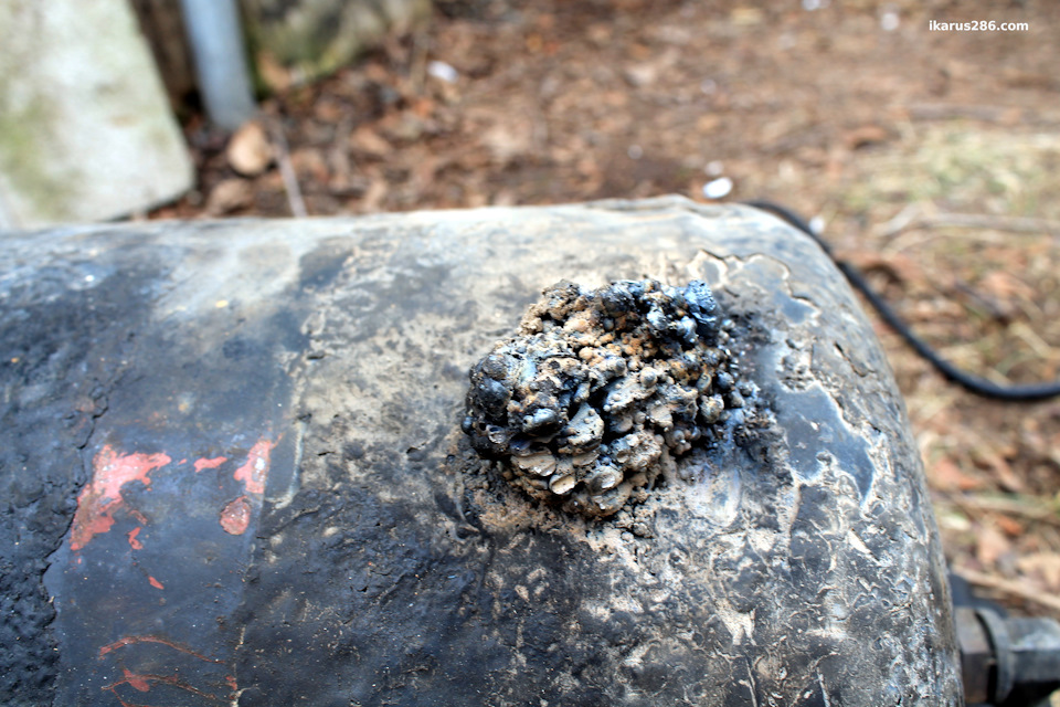 Фото в бортжурнале IKARUS 286