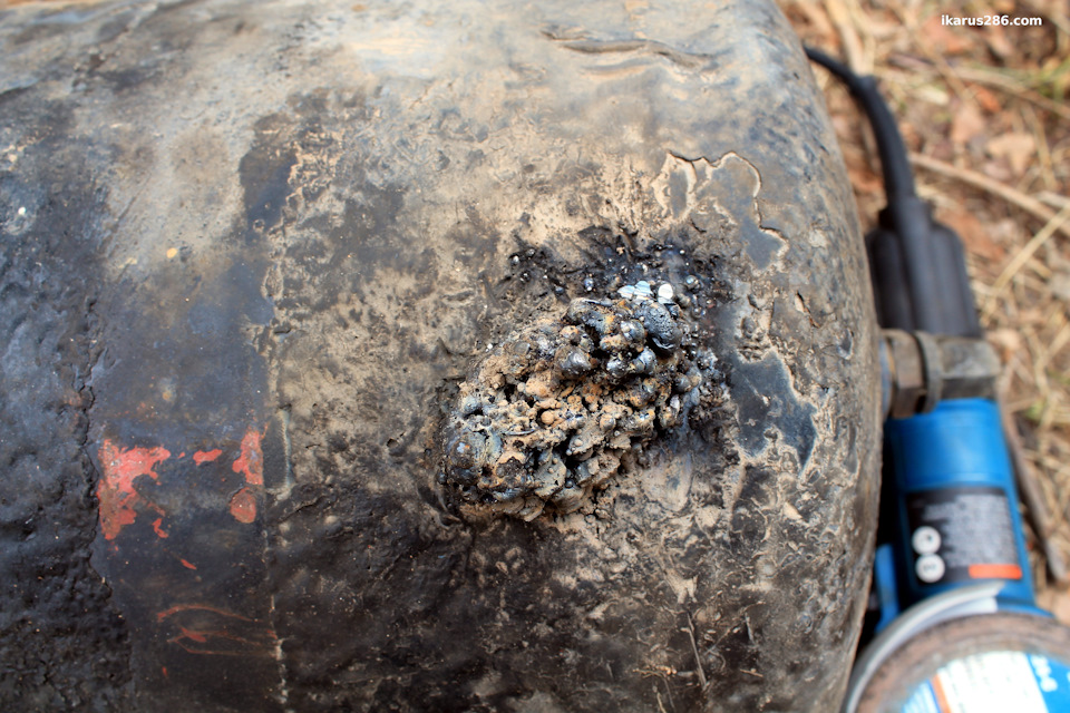 Фото в бортжурнале IKARUS 286