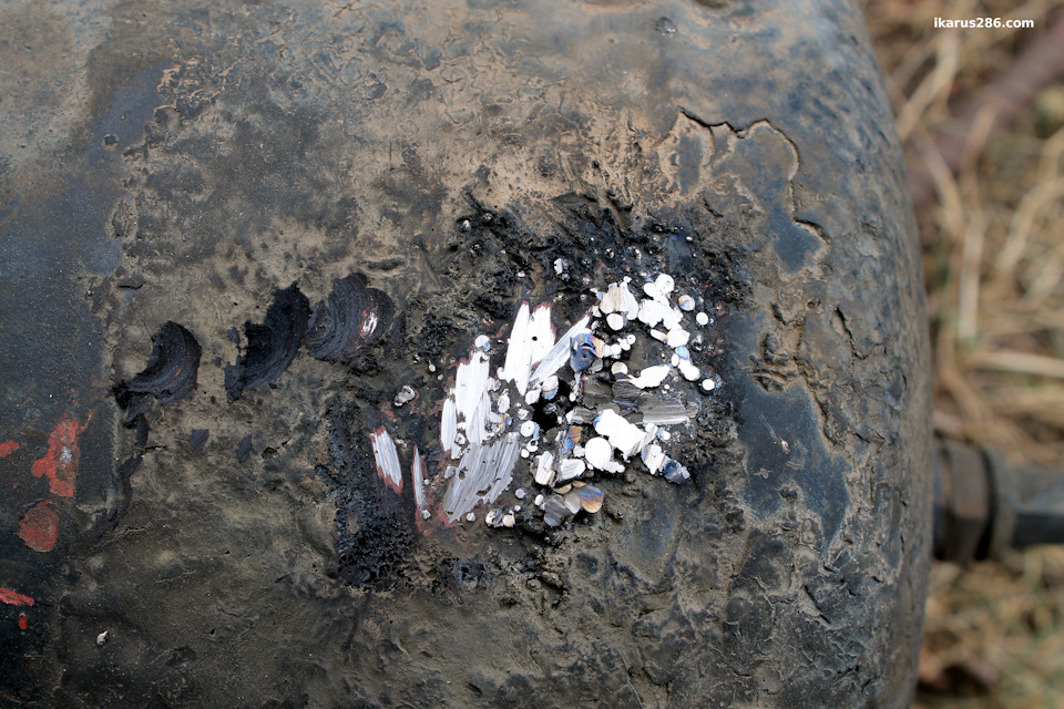 Фото в бортжурнале IKARUS 286