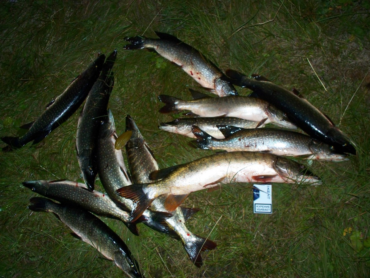 Улаганские озера рыбалка