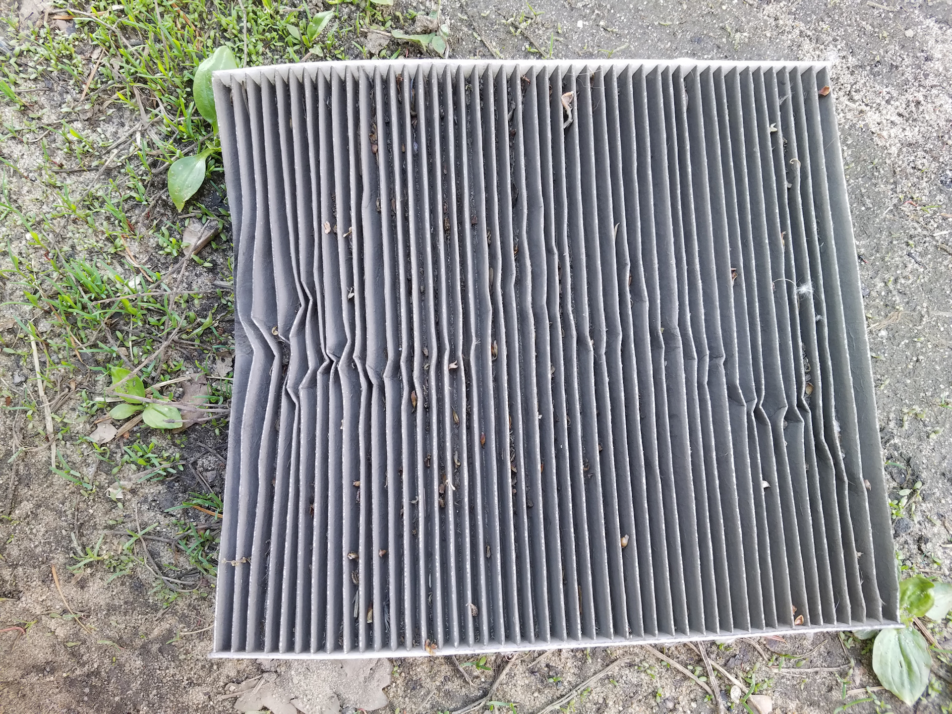 Очередная замена салонного фильтра — KIA Cerato (2G), 2 л, 2011 года ...