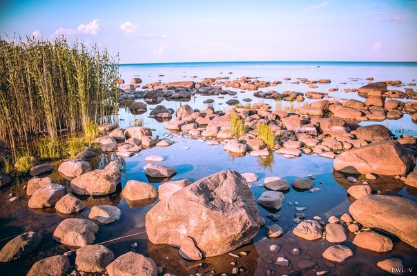 Фото в бортжурнале Toyota 4Runner (2G)