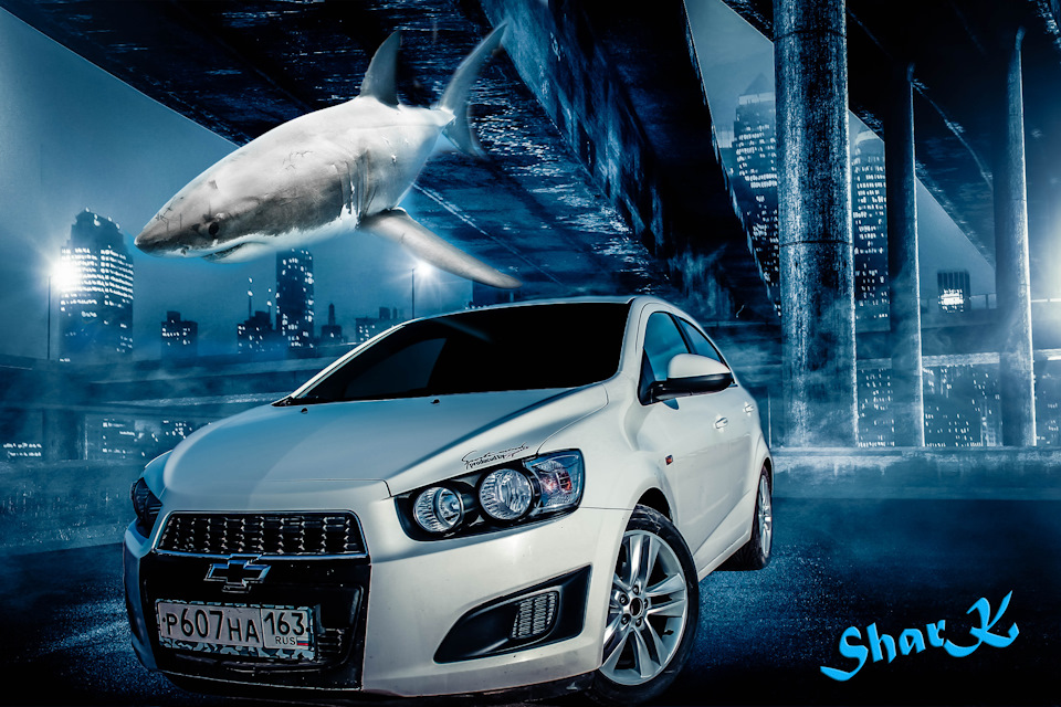 Почему Shark(акула)? — Chevrolet Aveo Sedan (2G), 1,6 л, 2012 года ...