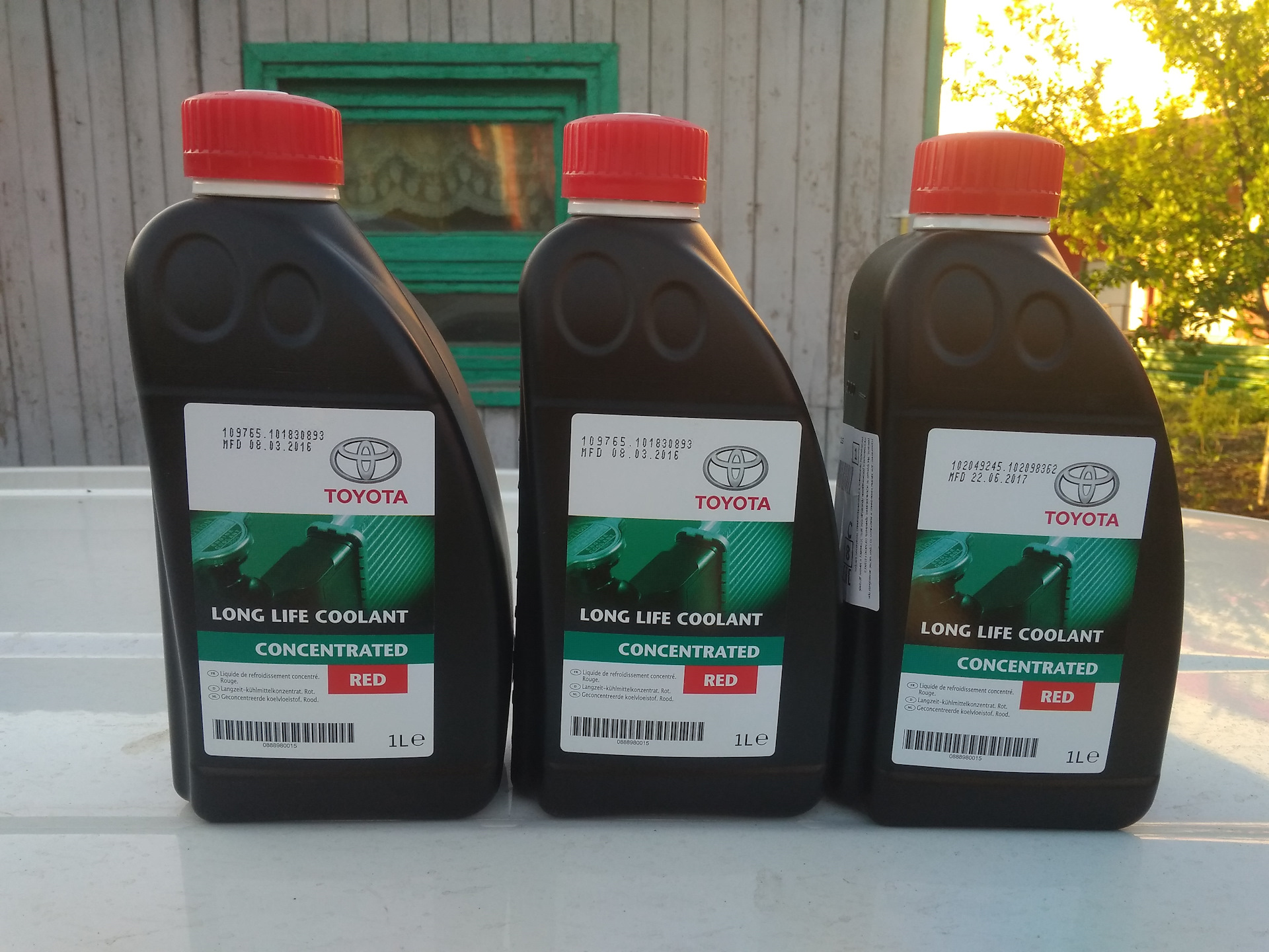 Super long life. Toyota long Life Coolant. Long Life Coolant концентрат. Антифриз Тойота оригинал. Антифриз красный тойотовский.