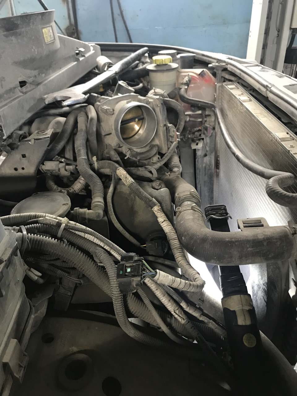 Замена обводного ролика + комплексная диагностика — DRIVE2